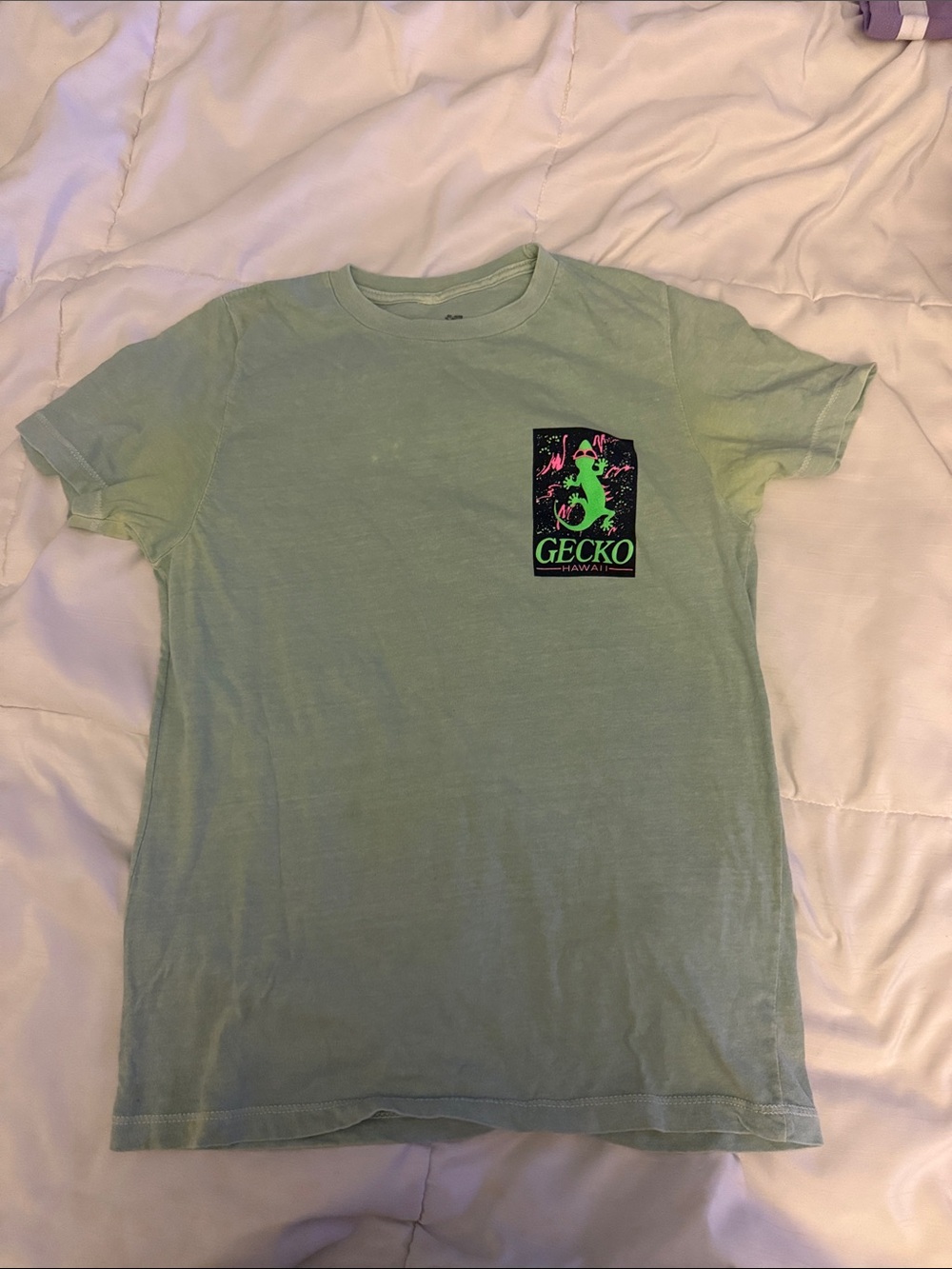 Pre-loved Kid's GECKO Hawaii Light Green Graphic Tee